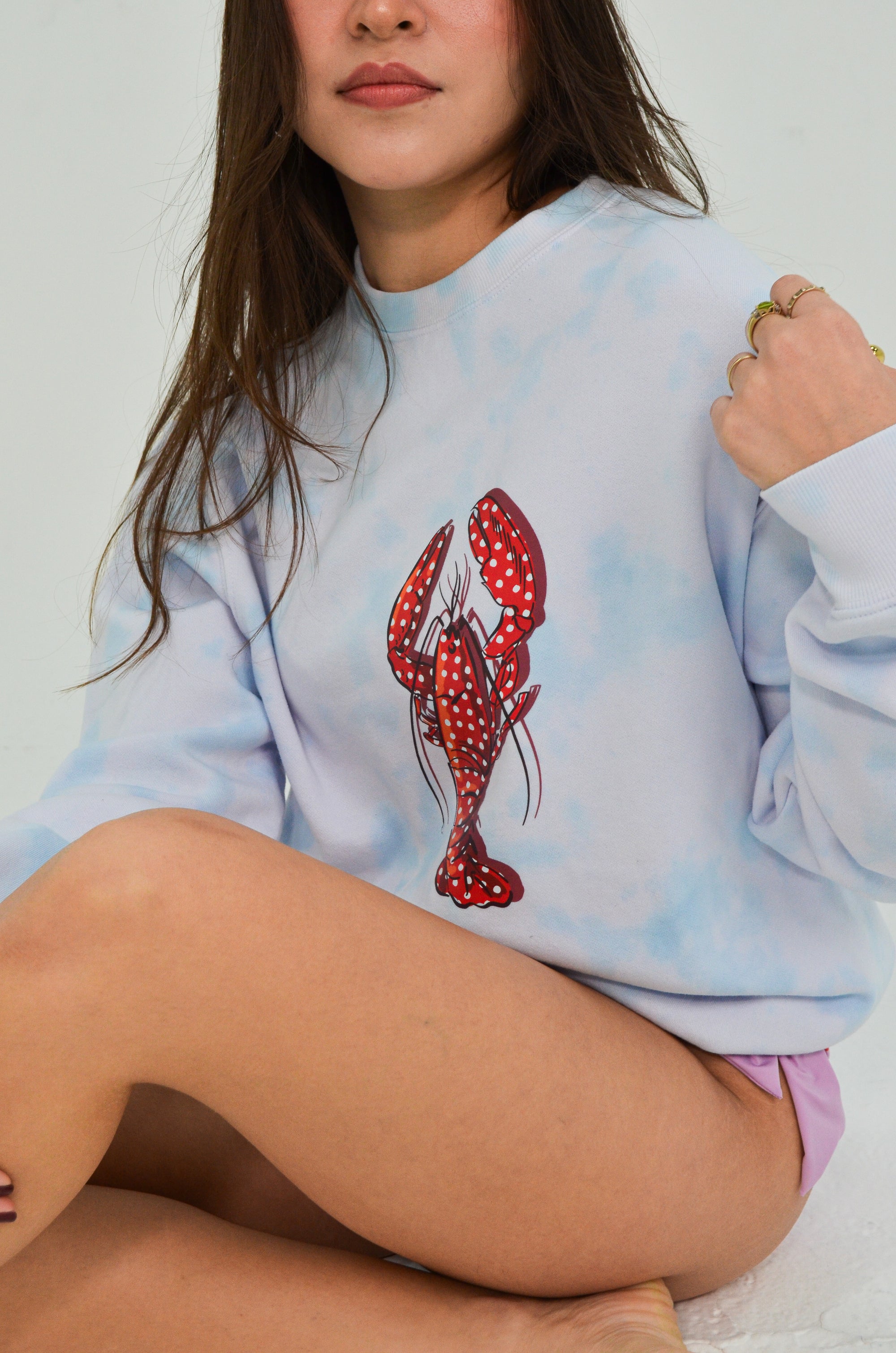 Crew neck sweatshirt - Lobsteria